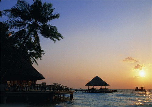 重庆姜小鱼纸包鱼