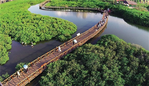 来客缘加盟费多少，来客科技有限公司