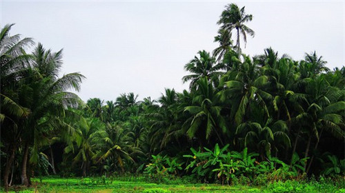 杭州奶茶店装修找木工吗