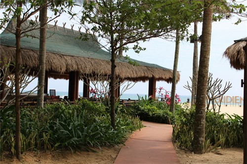 凌云县创业塑胶跑道加盟连锁店排行榜