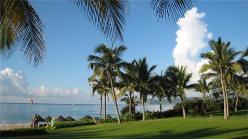 膏润肤乳液加盟创业选择哪些项目利润高（润肤膏是什么）