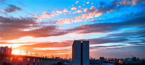 橡胶树种植公司名称起名（橡胶树种植公司名称起名怎么起）