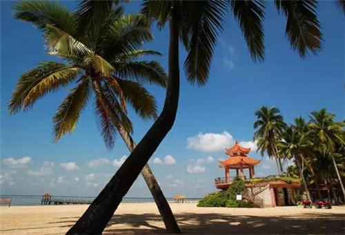 手游qq飞机什么时候（qq飞车手游飞机是什么车）