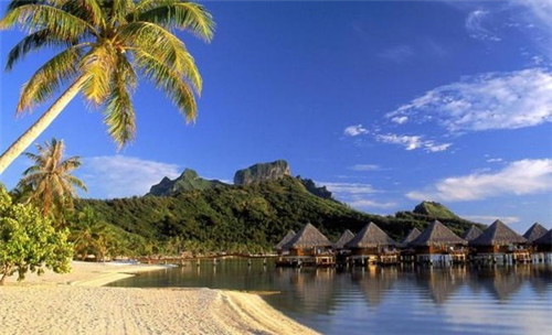 食堂的海阔天空是什么歌（食堂这是什么歌）