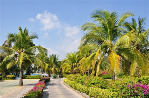 国内十大儿童主题公园（儿童主题公园景观设计）