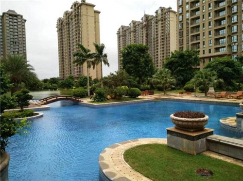 伊布十大未解之谜是什么（伊布介绍）