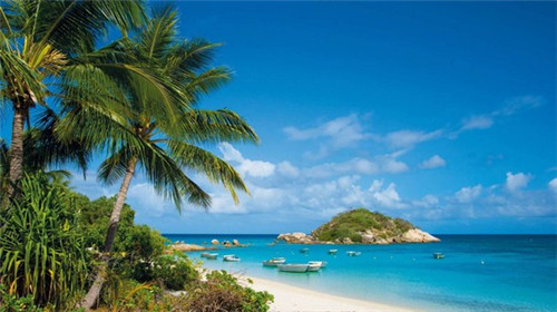 喝茶的十大好处你知道吗（喝茶的好处有那些?）