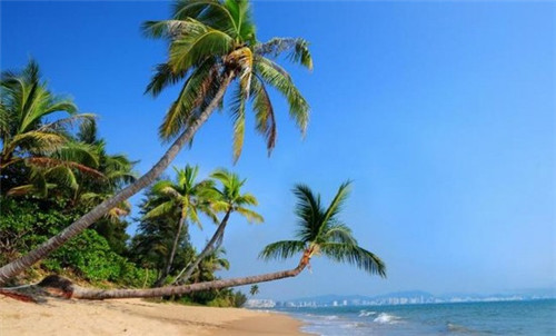 凯盛家纺是十大品牌吗（凯盛家纺是十大品牌吗知乎）